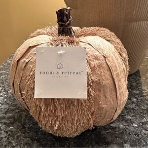 Fall Wicker Pumpkin Rattan Decor ROOM & RETREAT NWT New